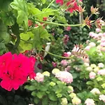 Poyraz Ξενοδοχείο με διαμερίσματα 3*