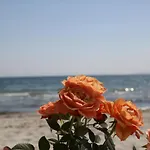 Poyraz Marmara Ereglisi