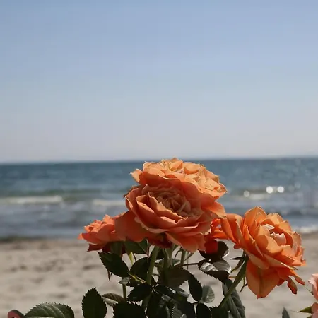 Poyraz Marmara Ereglisi